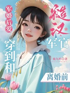 军婚后爱:穿到和糙汉军官离婚前