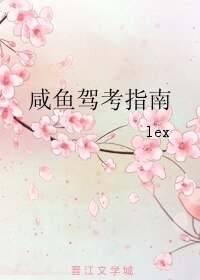 咸鱼驾考指南