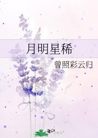 月明星稀